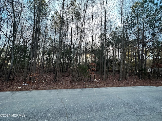 Listing photo 2 for TBD Pine St, Conway NC 27820