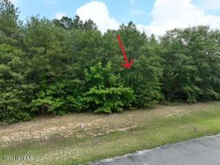 173 Deer Pointe Dr, Snow Hill, NC 28580