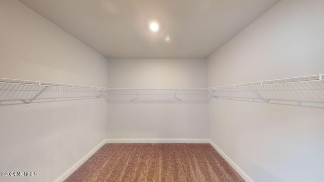 walk in closet featuring carpet flooring