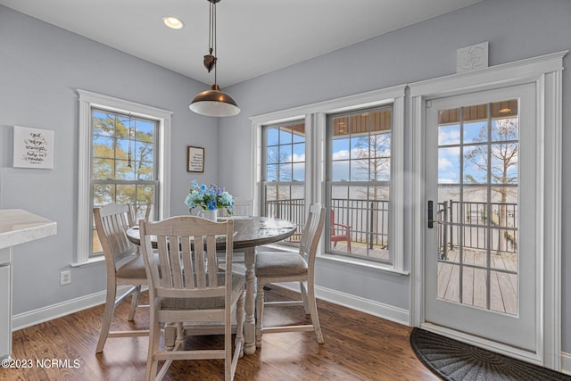 dining room featuring plenty of natural light and dark hardwood / wood-style floors