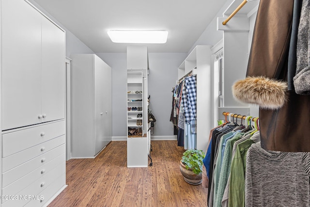 spacious closet featuring wood-type flooring