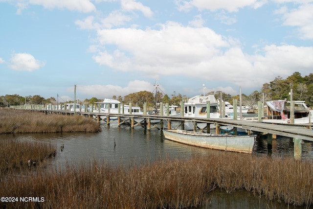 dock area with a water view