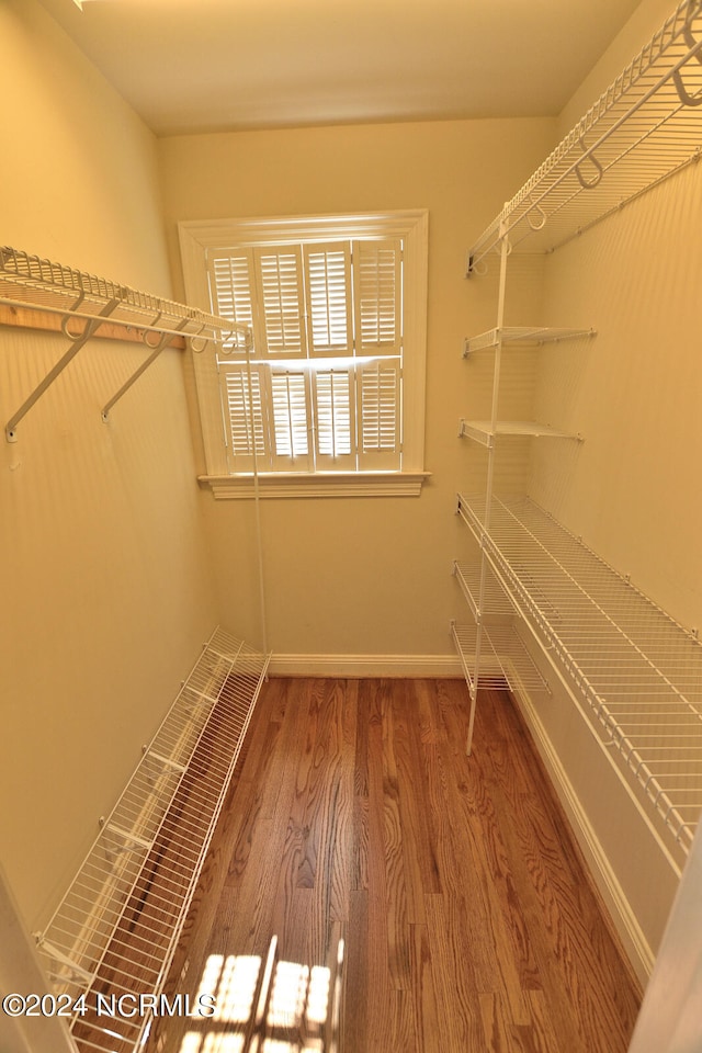 walk in closet with dark hardwood / wood-style floors