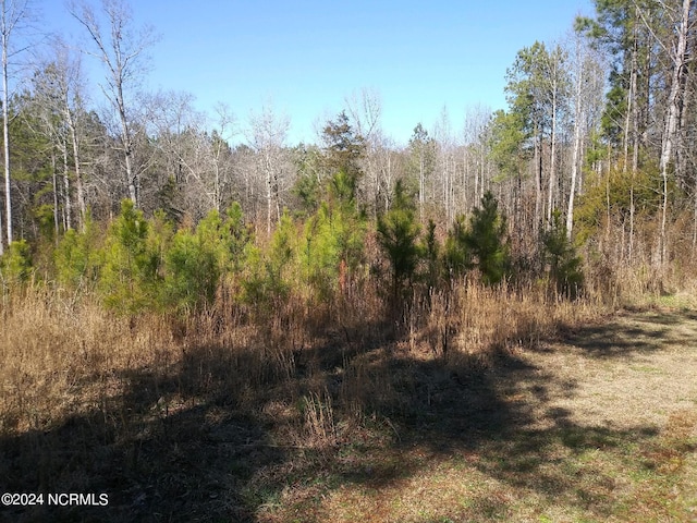 Listing photo 3 for TBD Hemp St, Robbins NC 27325