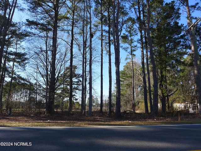 Listing photo 2 for 0 S NC-581 Hwy, Goldsboro NC 27530