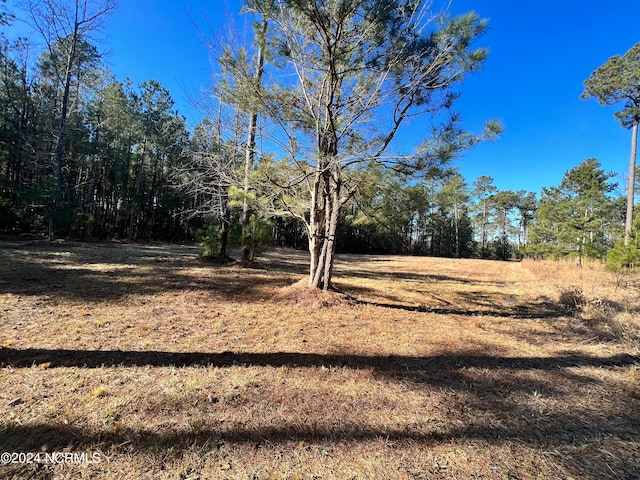 Listing photo 3 for LOT73 Bailey Pointe, Belhaven NC 27810