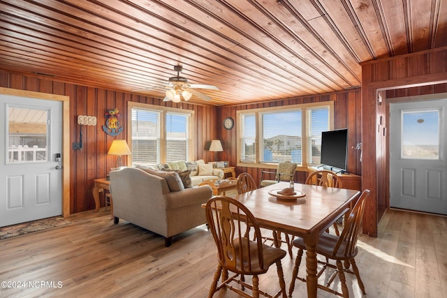 dining area with wood walls, ceiling fan, a healthy amount of sunlight, and light wood-type flooring