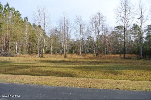 Listing photo 2 for 187 Garbacon Dr, Beaufort NC 28516