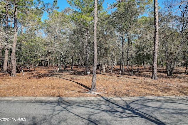 580 Maritime Way Unit 467, Supply NC, 28462 land for sale