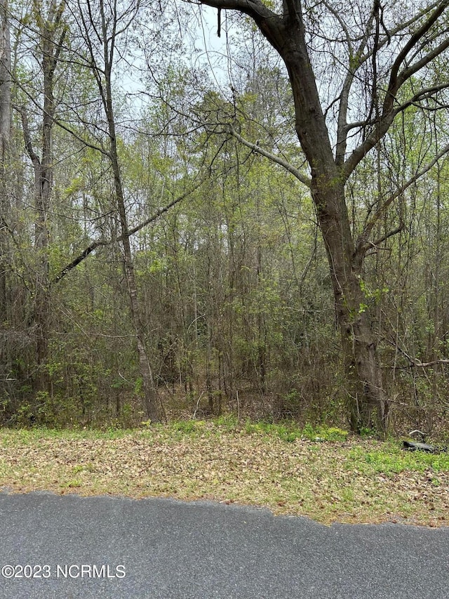 Listing photo 2 for Tbd Hickory, Rockingham NC 28379