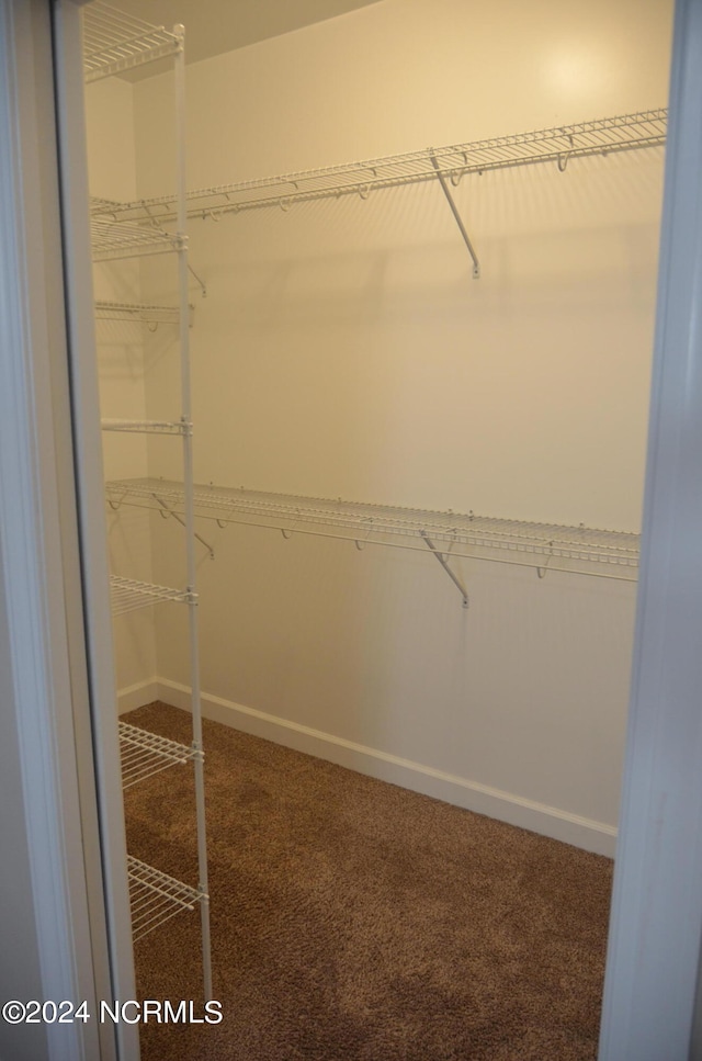 spacious closet with carpet flooring