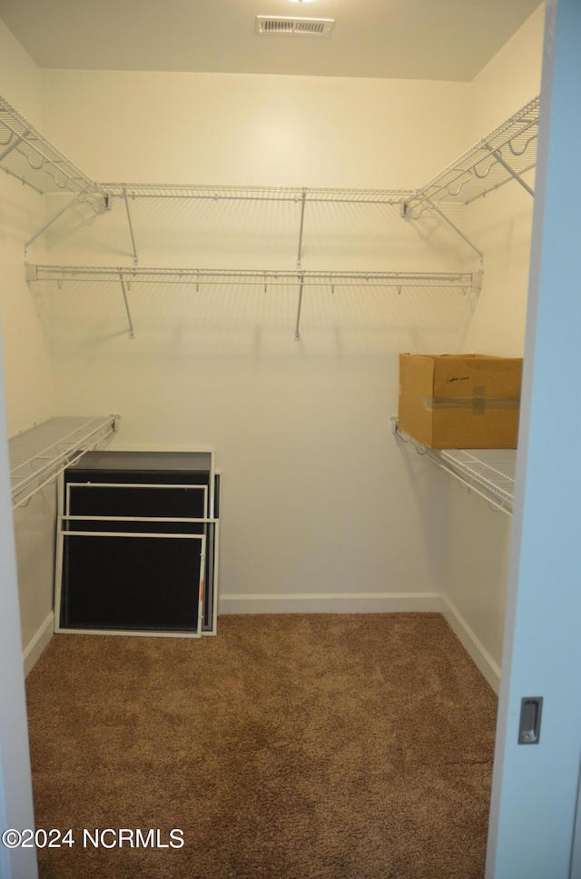 walk in closet with carpet flooring