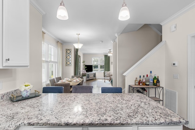 kitchen featuring crown molding, a wealth of natural light, and visible vents