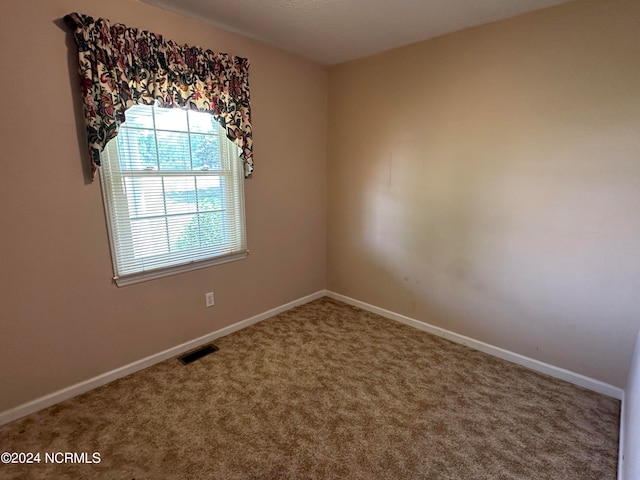 spare room with carpet floors