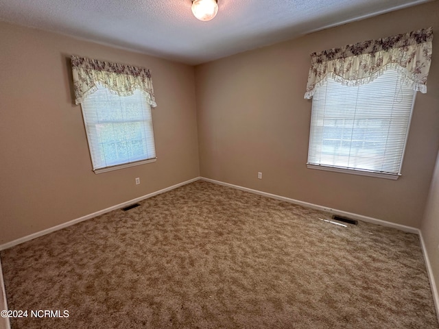 unfurnished room with a healthy amount of sunlight and carpet