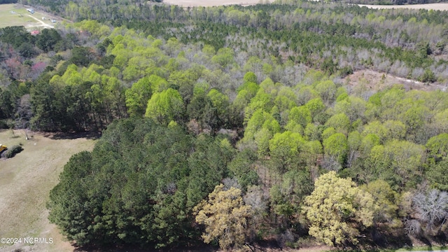 view of bird's eye view