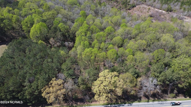 view of bird's eye view