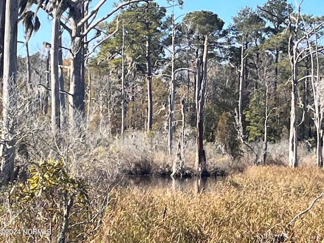 view of local wilderness with a water view