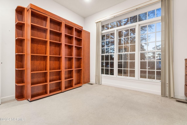 interior space featuring light carpet