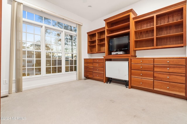 unfurnished office with light colored carpet and built in desk