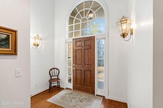 foyer featuring hardwood / wood-style flooring and a towering ceiling