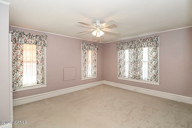 carpeted empty room with ceiling fan and ornamental molding