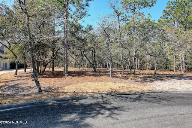 3763 Acadian Ave SW Unit 223, Supply NC, 28462 land for sale