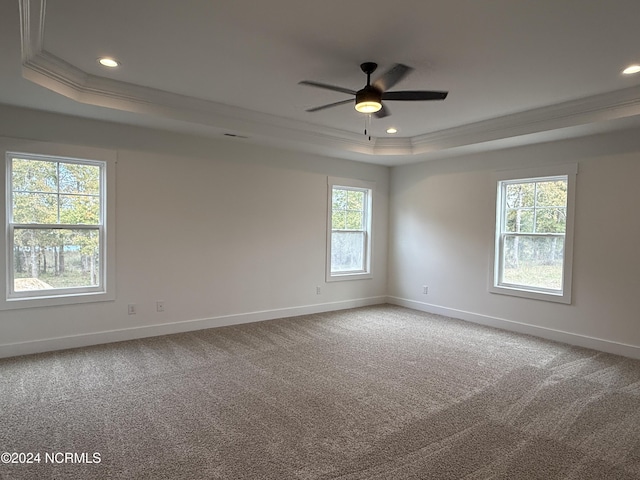 unfurnished room with a raised ceiling, crown molding, plenty of natural light, and carpet floors