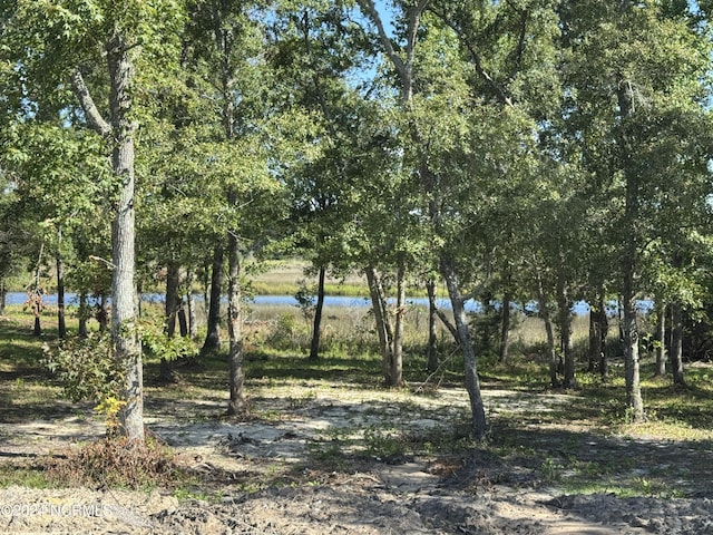 view of landscape with a water view