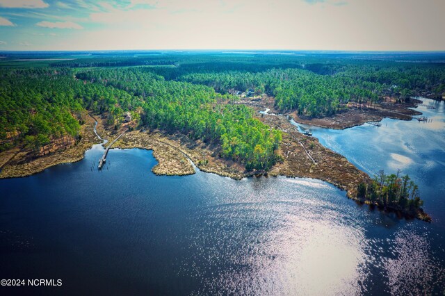 203 Paradox Point Dr Unit 16, Aurora, NC 27806