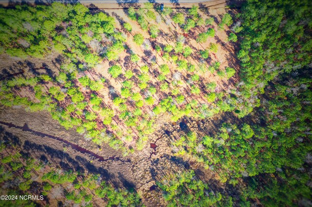 203 Paradox Point Dr Unit 16, Aurora, NC 27806