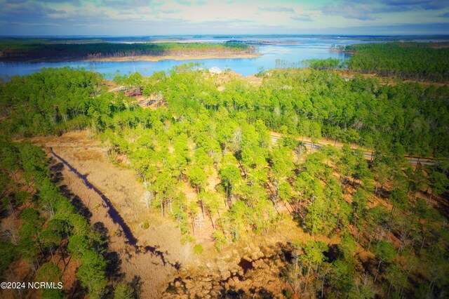 203 Paradox Point Dr Unit 16, Aurora, NC 27806