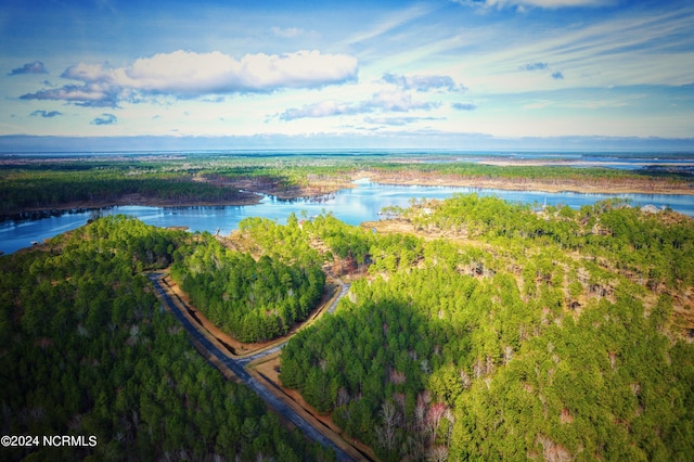 203 Paradox Point Dr Unit 16, Aurora, NC 27806