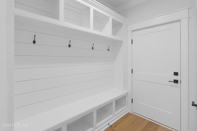 mudroom featuring light wood-type flooring