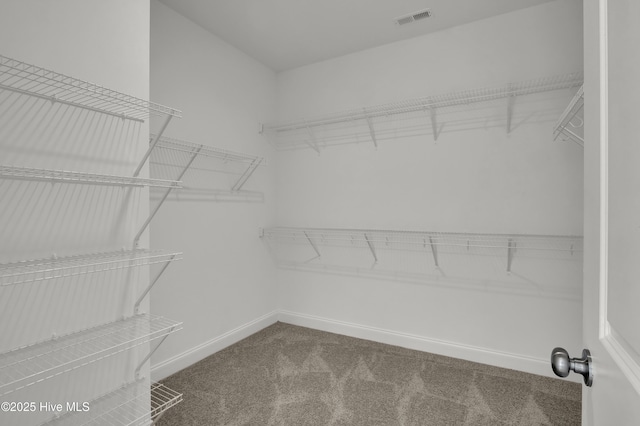 walk in closet with visible vents and carpet floors