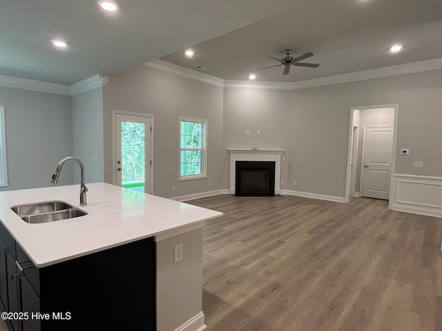 1114 Natal Dr SE, Bolivia, NC 28422 - kitchen with a sink, ornamental molding, a ceiling fan, light wood-type flooring, and light countertops