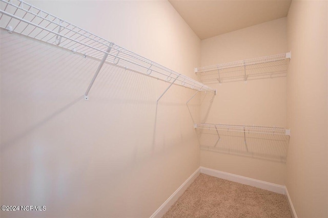 spacious closet with carpet floors