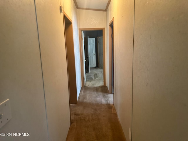 hallway with light colored carpet