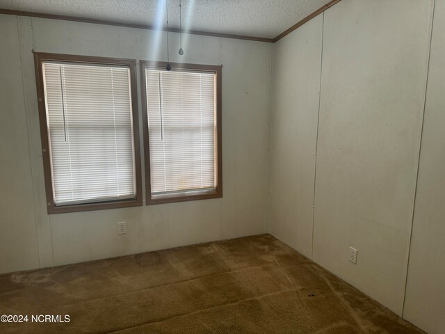 carpeted spare room with a textured ceiling