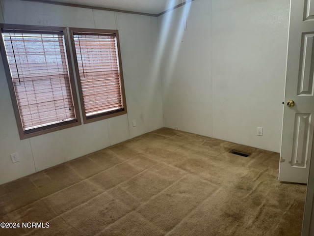 empty room featuring light carpet