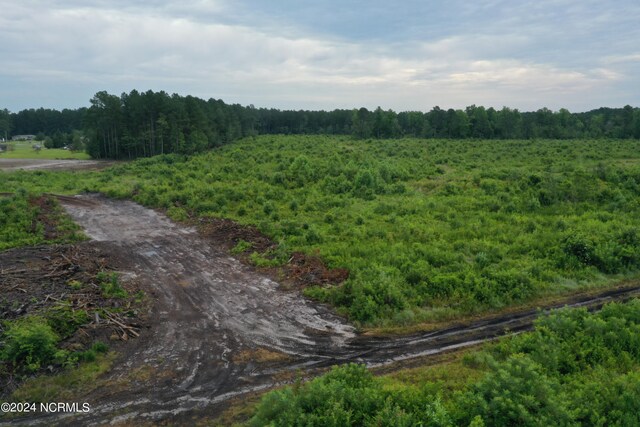 view of nature