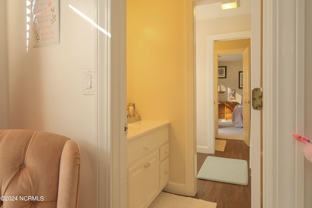 bathroom with wood-type flooring and vanity