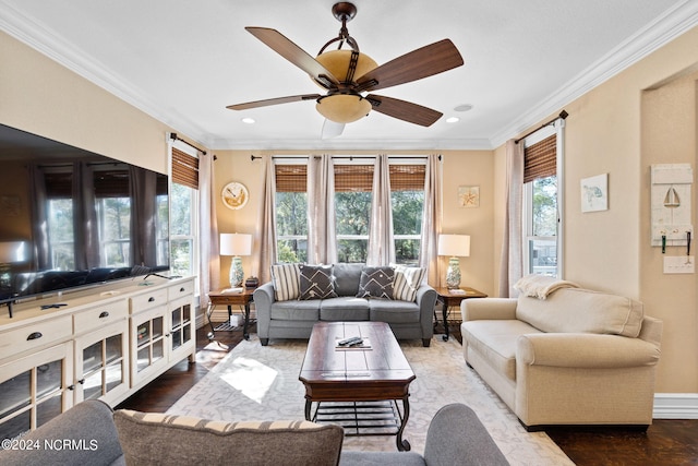 living room featuring ceiling fan, dark hardwood / wood-style floors, and crown molding