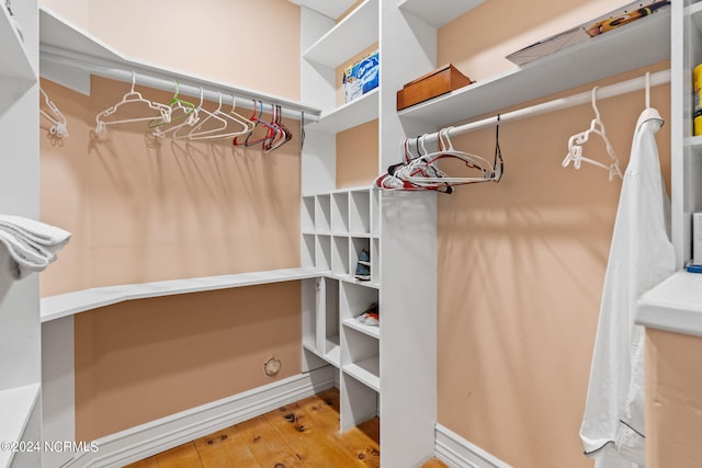 walk in closet with light hardwood / wood-style floors