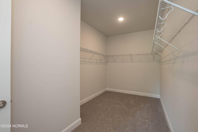 walk in closet featuring carpet floors