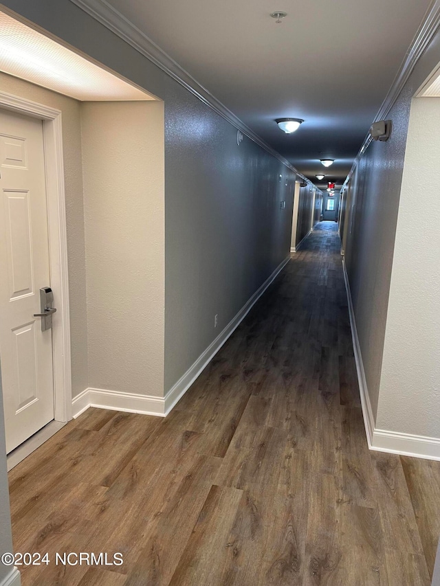 hall with crown molding and dark hardwood / wood-style flooring