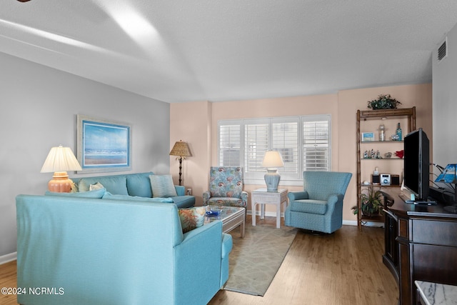 living room with hardwood / wood-style flooring