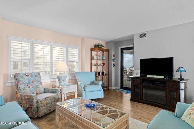 living room featuring light hardwood / wood-style flooring