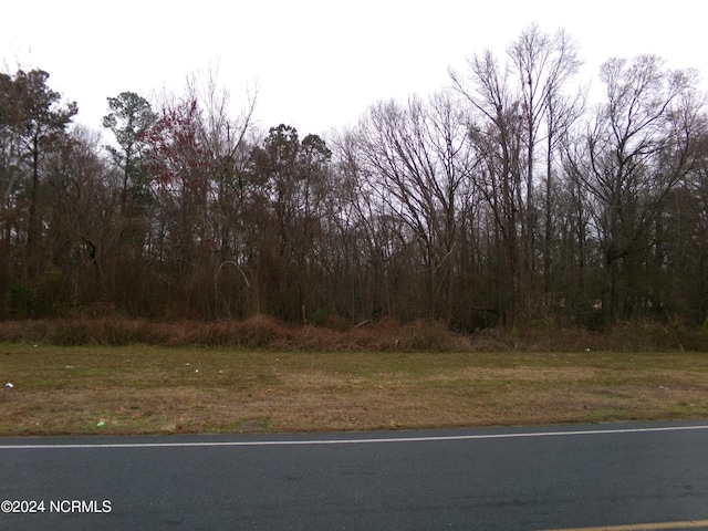 NEAR221 Causey Rd, Fair Bluff NC, 28439 land for sale