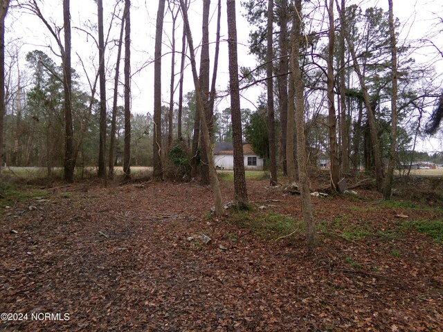 Listing photo 2 for NEAR221 Causey Rd, Fair Bluff NC 28439